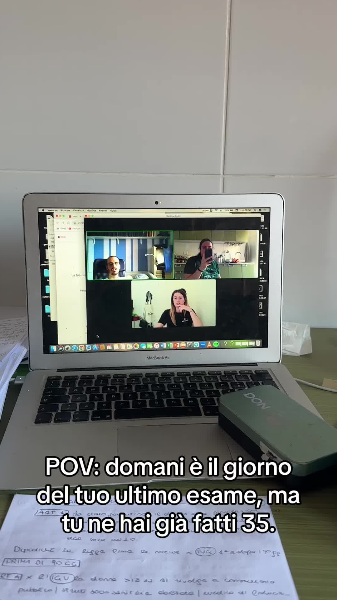 @Sofia Fachechi