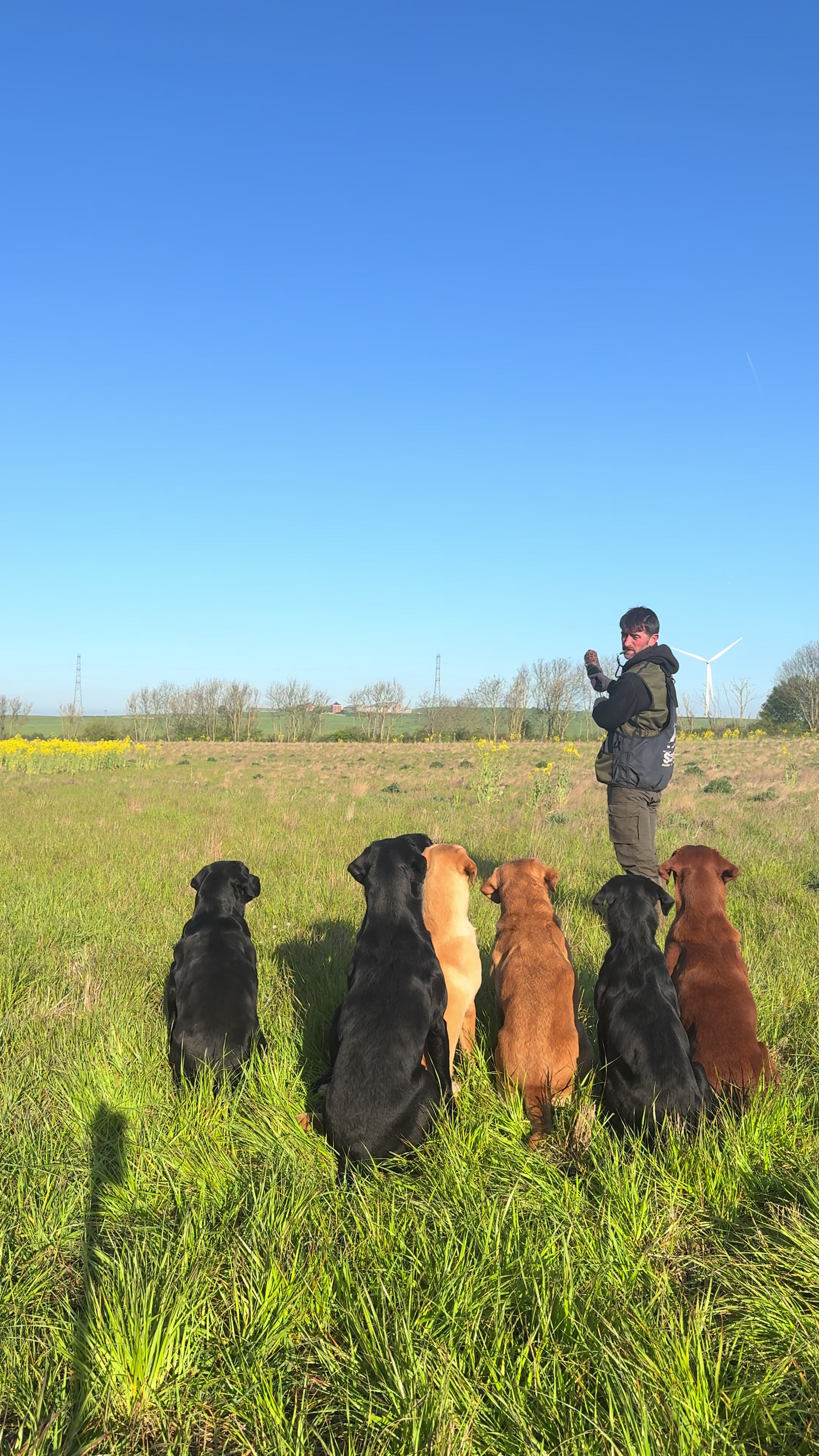 @slingleygundogs