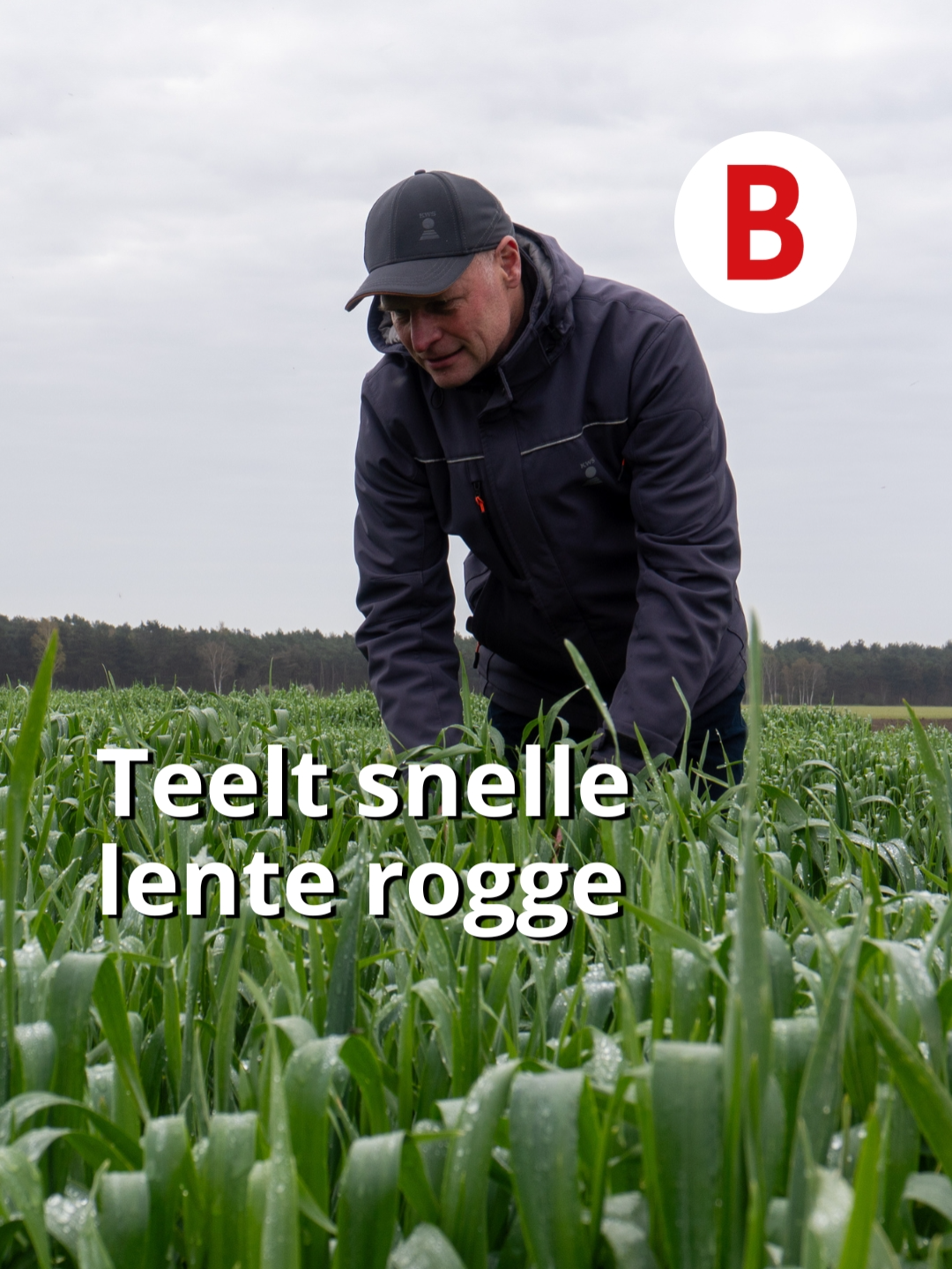 @Boerderij