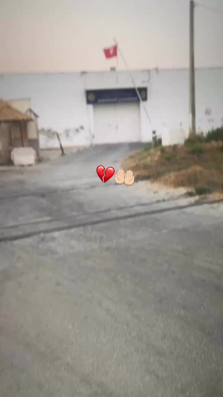 @🐺