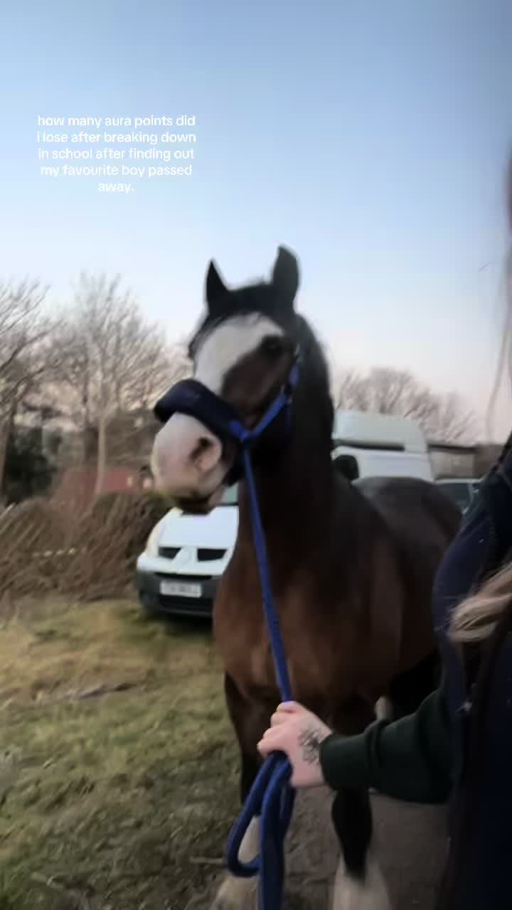 @els