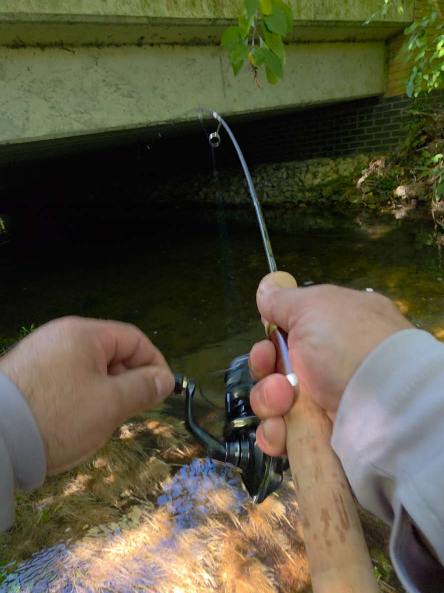 @BF Angler