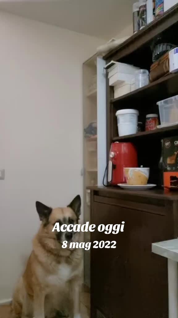 @giggialijia
