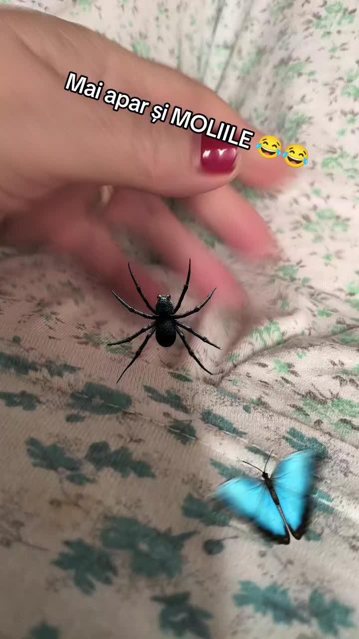 @Anna 61panga