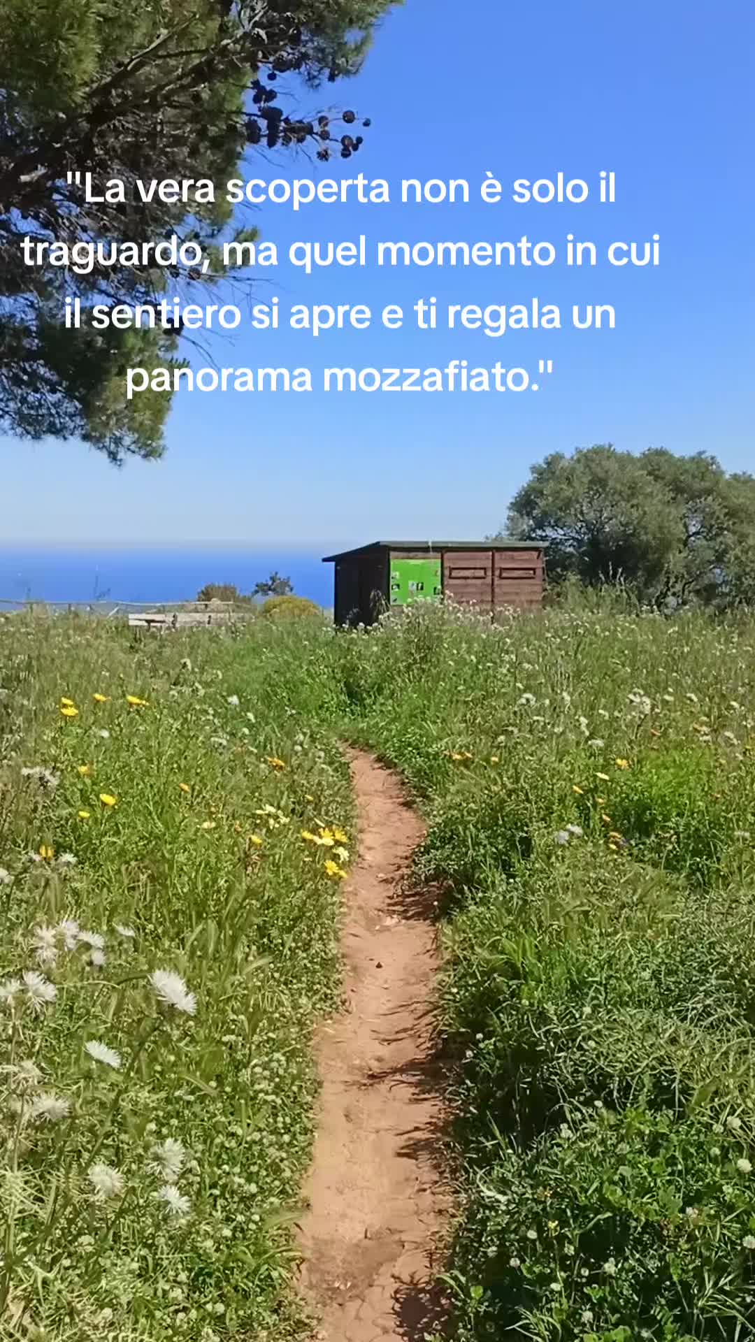 @Ɗ@ɲilø