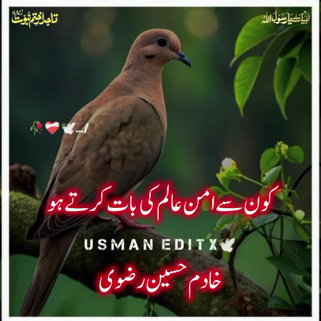 @سلطنت رضویہ 😍😍