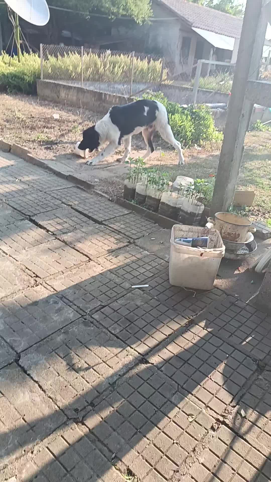 @ЖЕНАТА НА МИЛОТО 😈