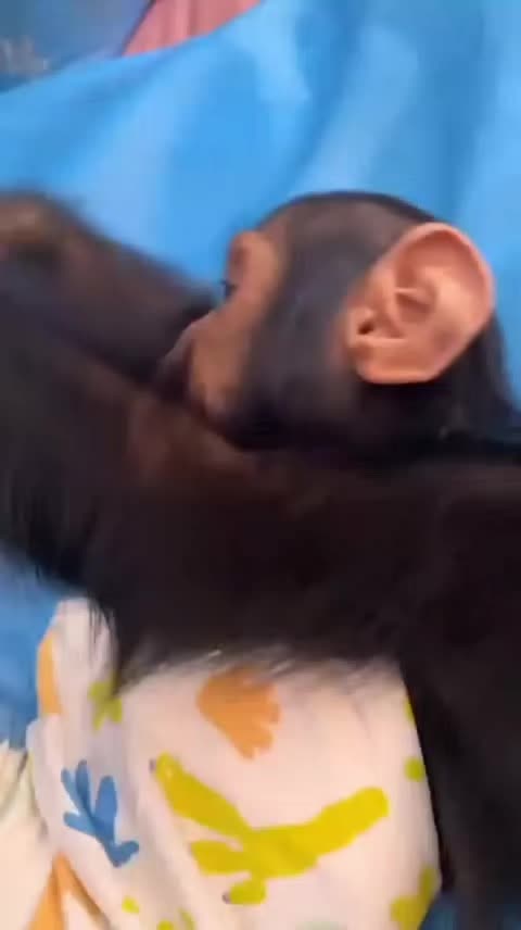 @benjamin