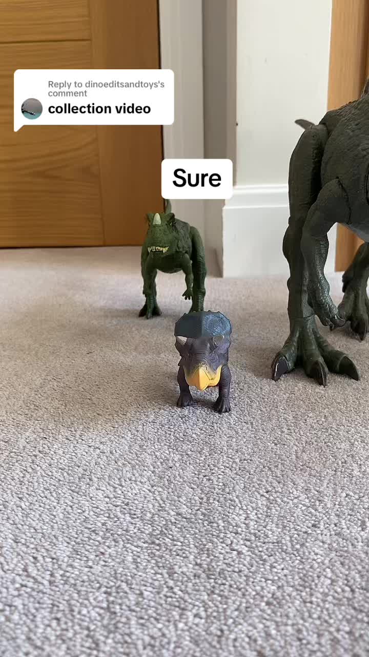 @the collector