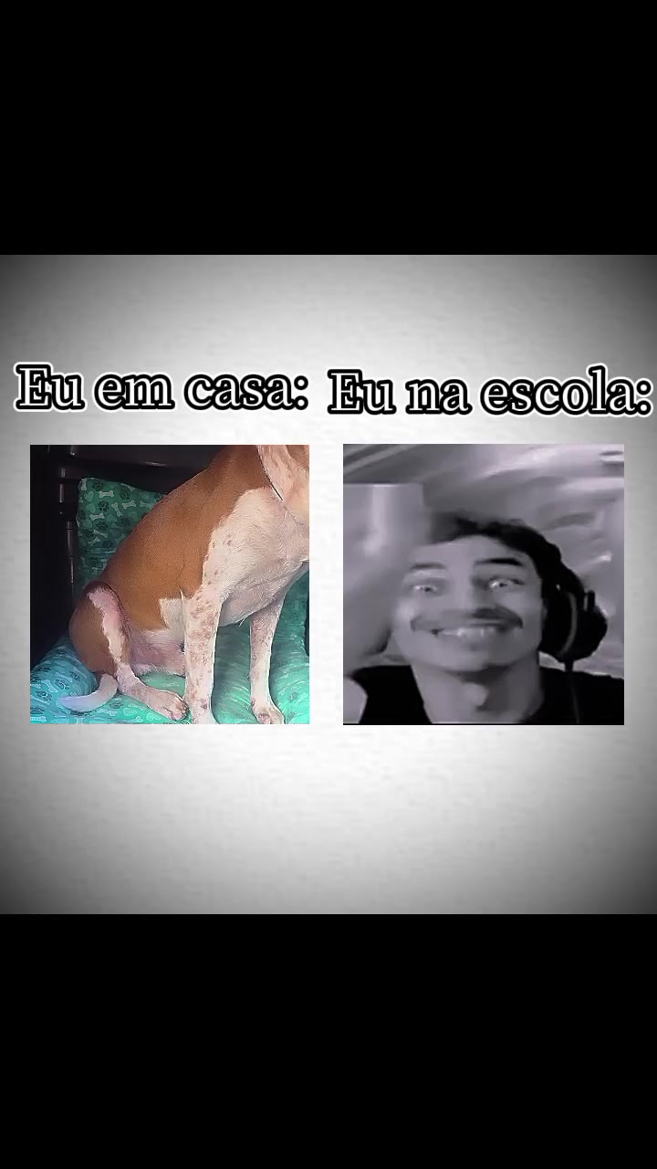 @Guilherme Bassanelli