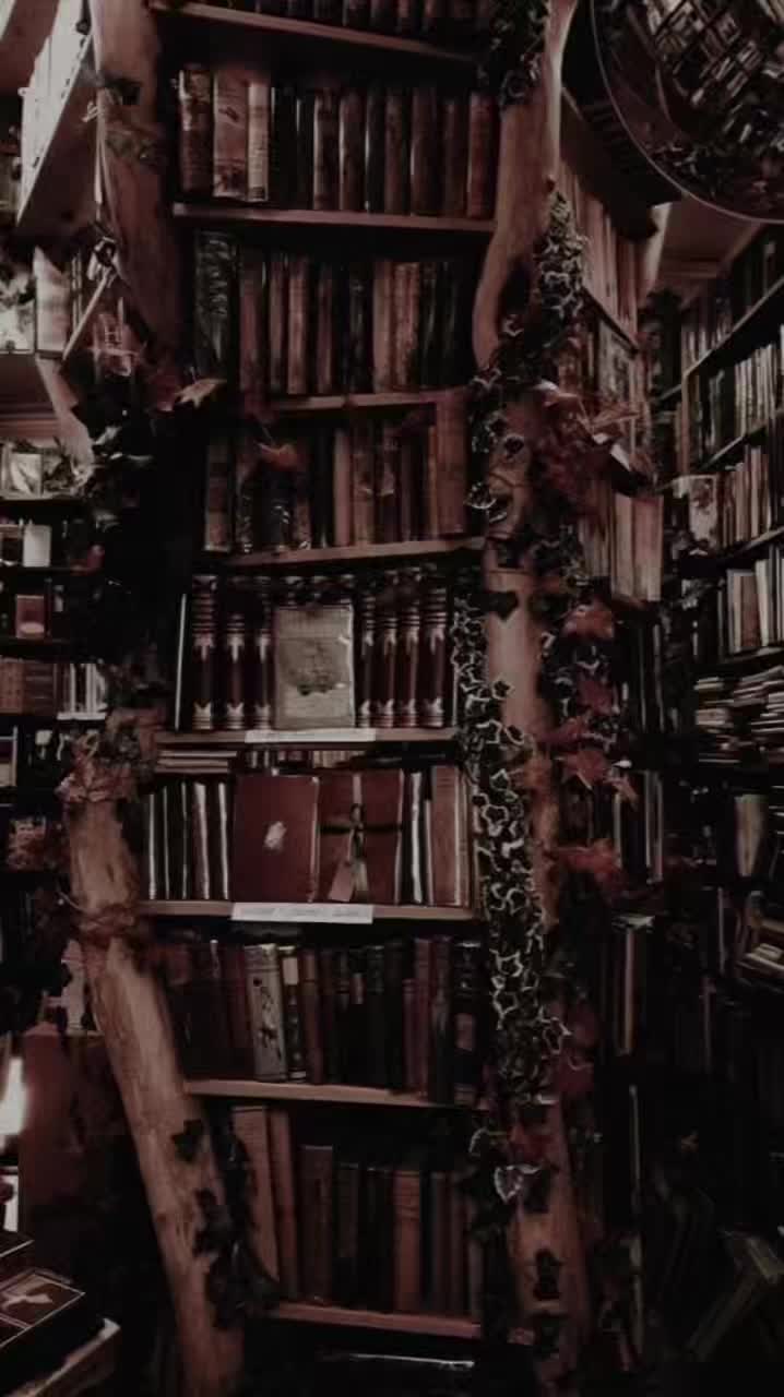 @📚🤍🌸