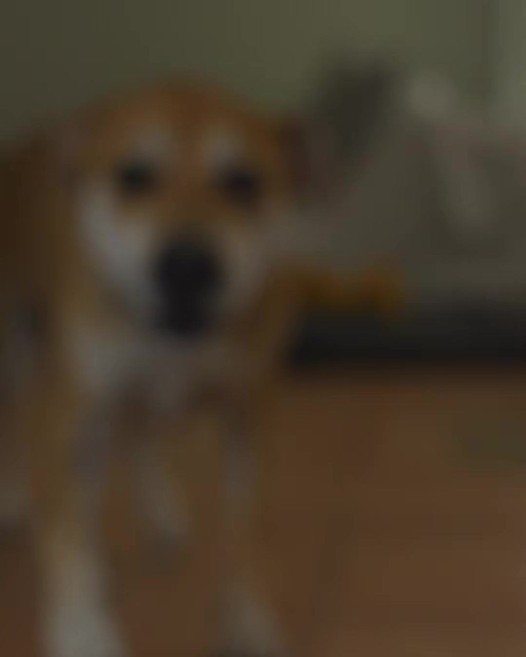 @statpro