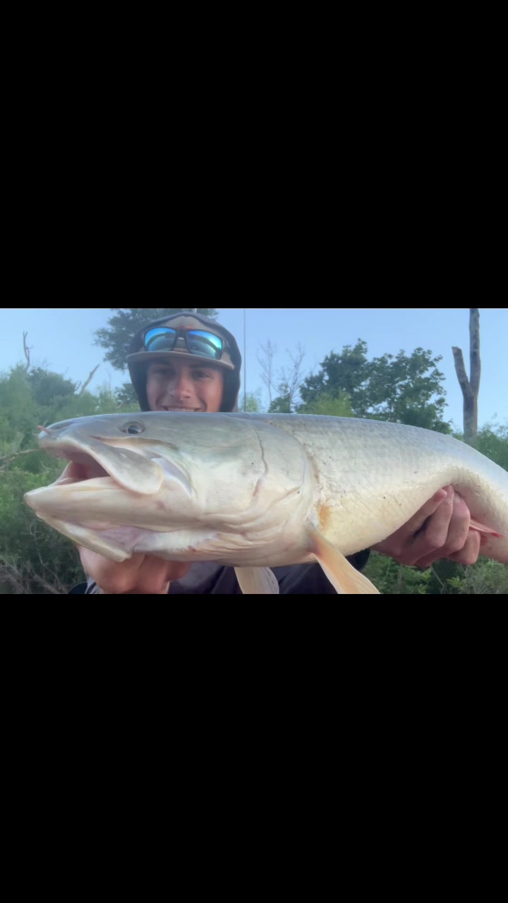 @HookedupSean🦈