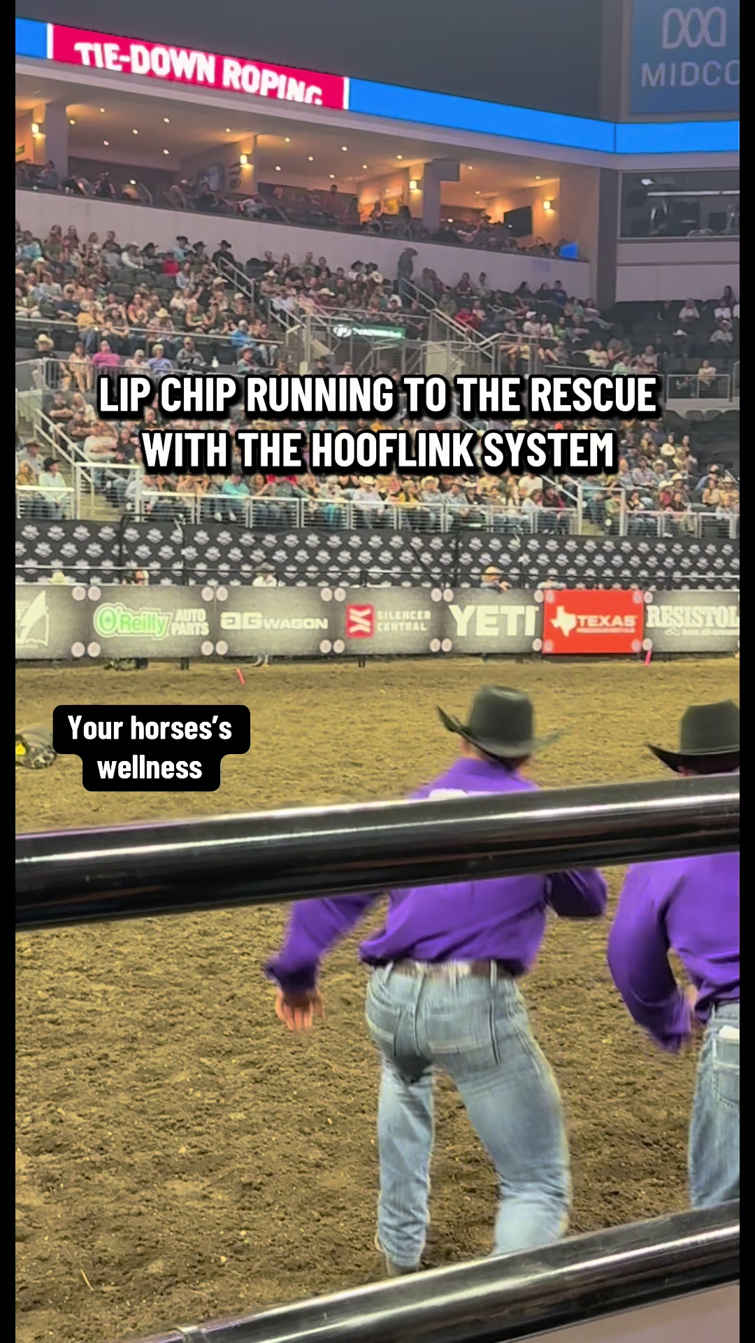 @Lip_ChipLLC