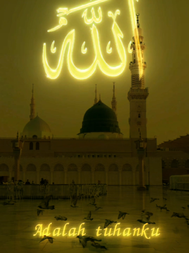 @💞Bint E Akbar💞
