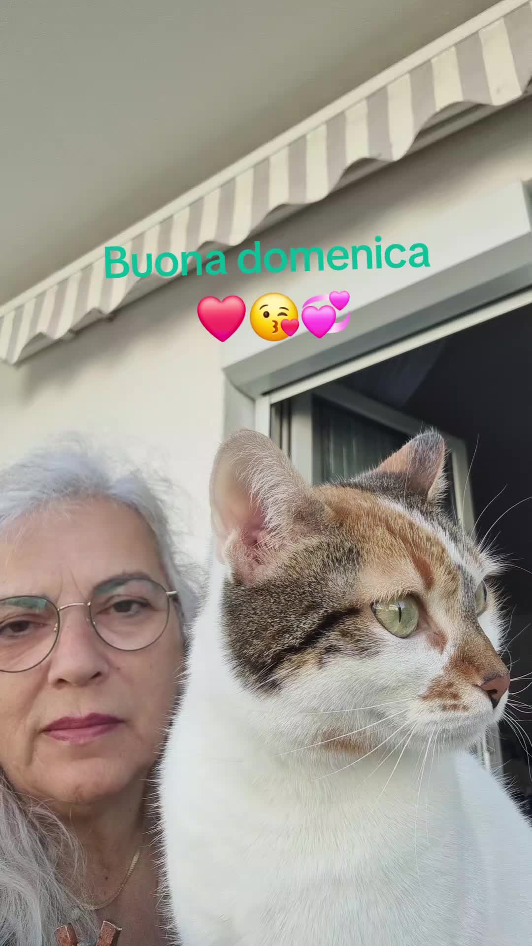 @Stellina
