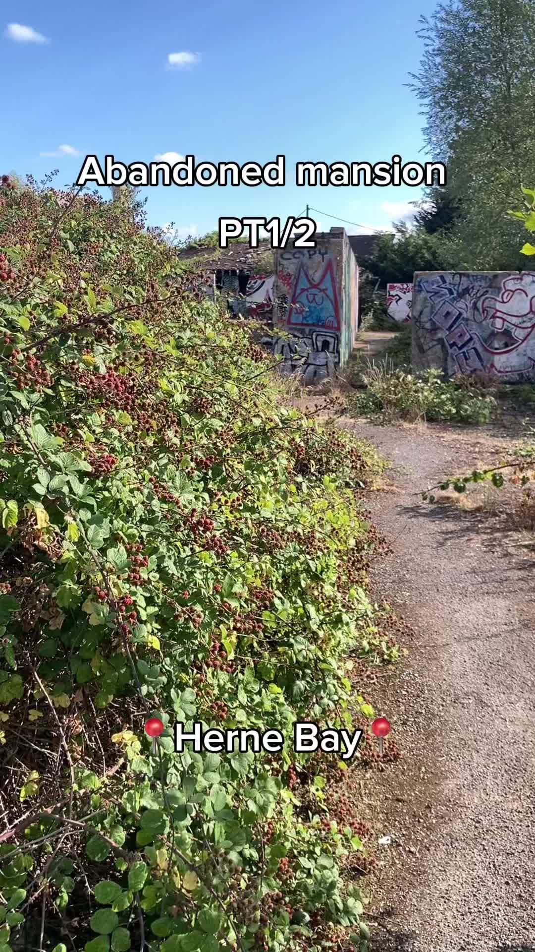 @Exploring with Ed