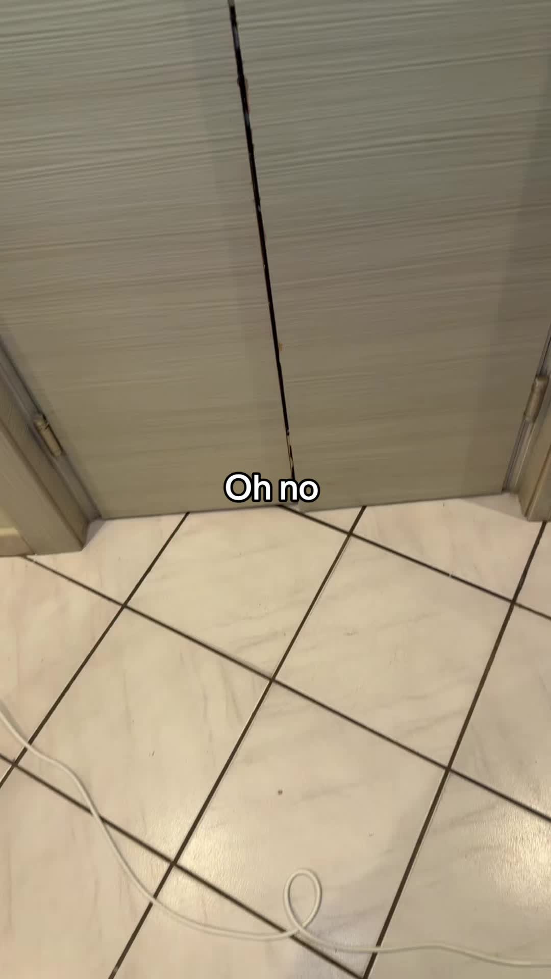 @Realelfo