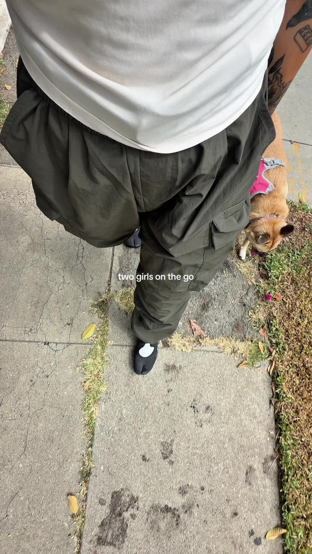 @delmyz