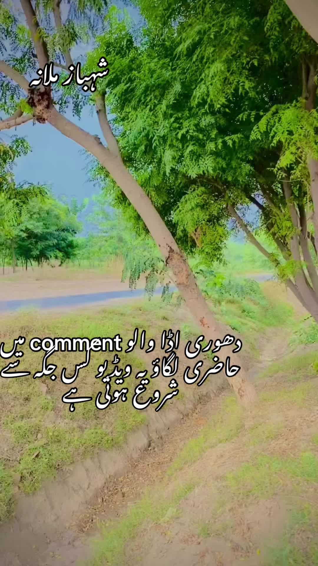 @shahbazhairsaloon1122