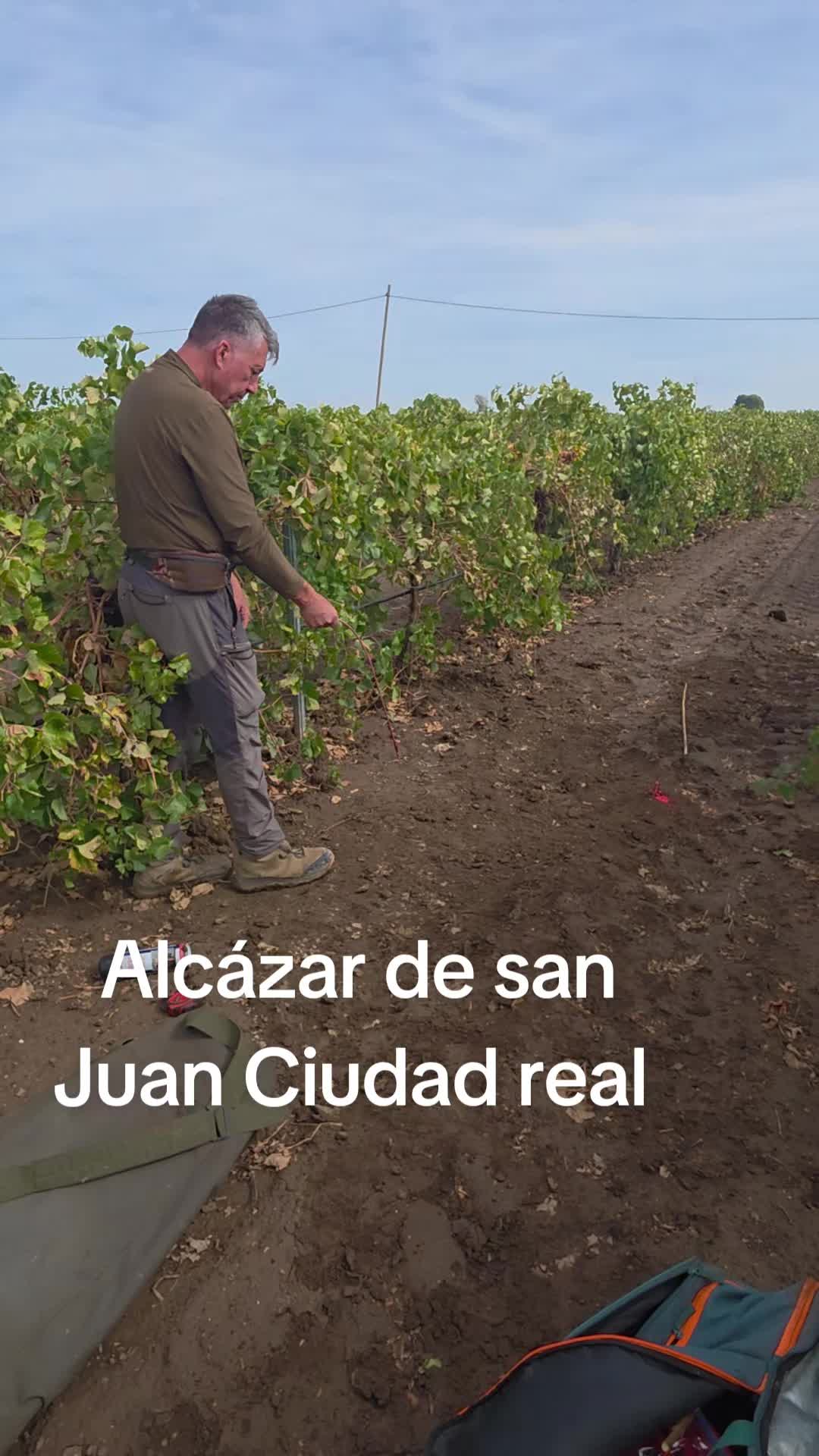 @Zahori Blas Moreno