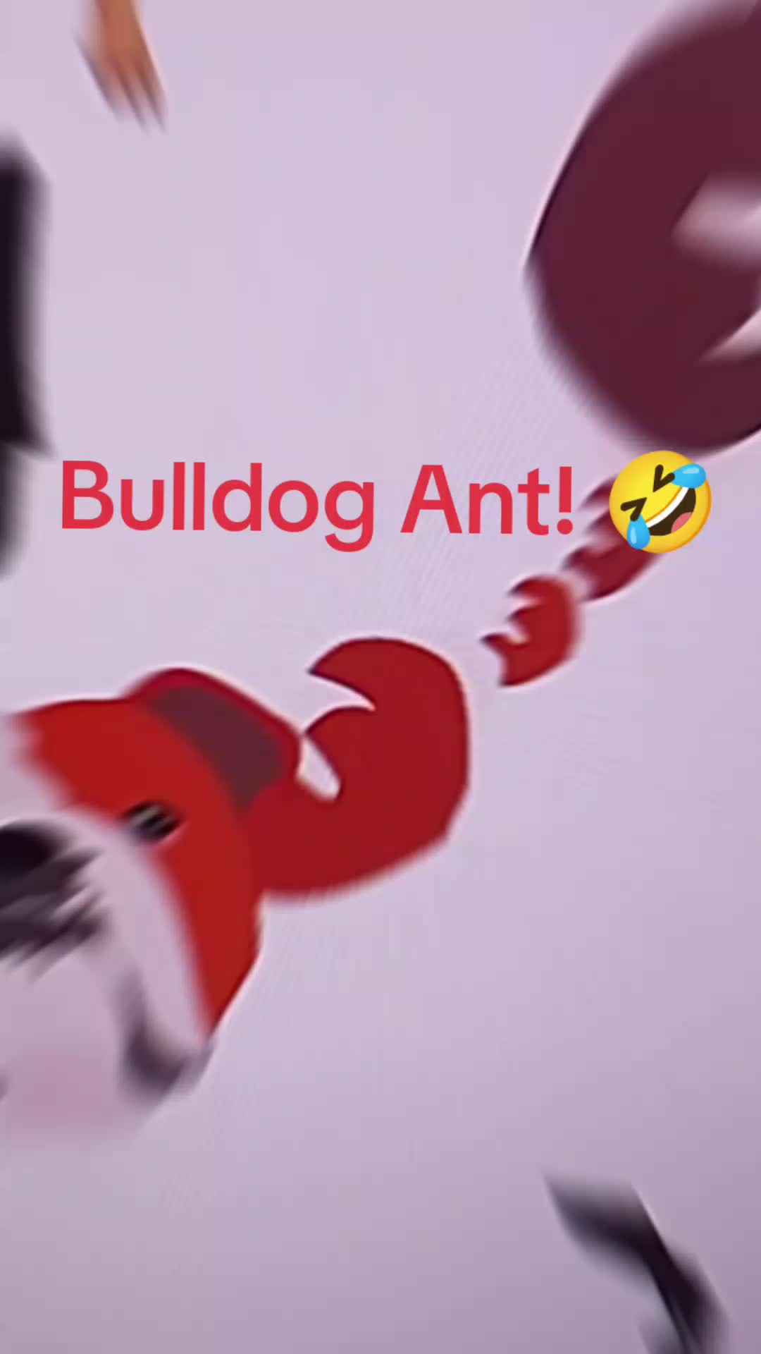 @Ant Category