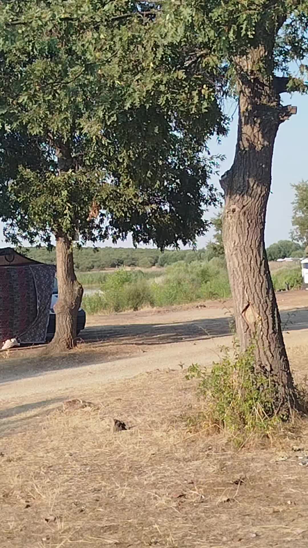 @💦🌼ἶ̇ῆეἶ ནმῆპჰἶ💦