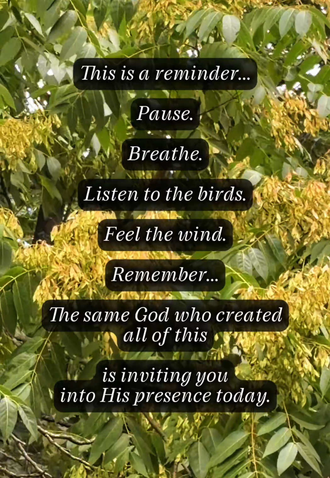 @OmniPresence1144