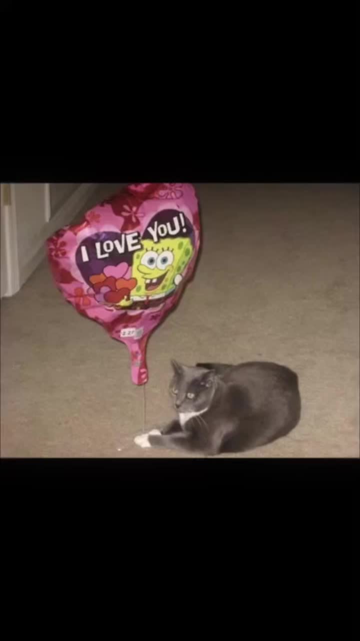 @Lily