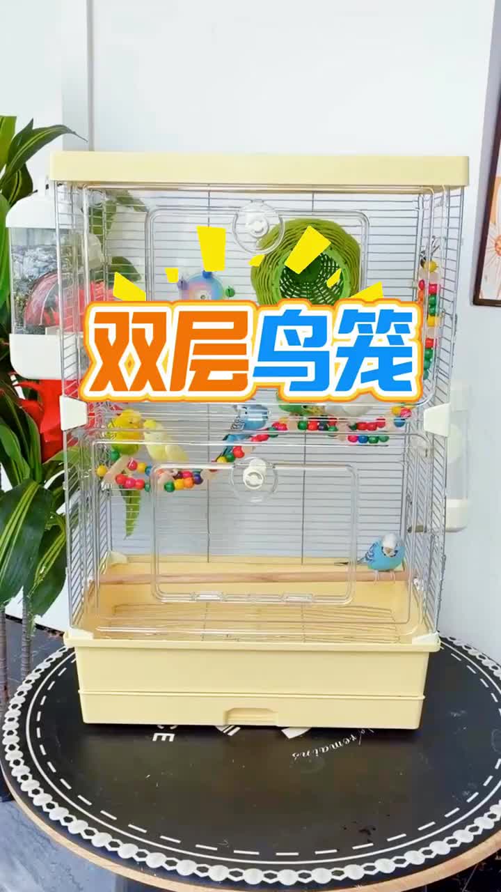 @chinabirds47