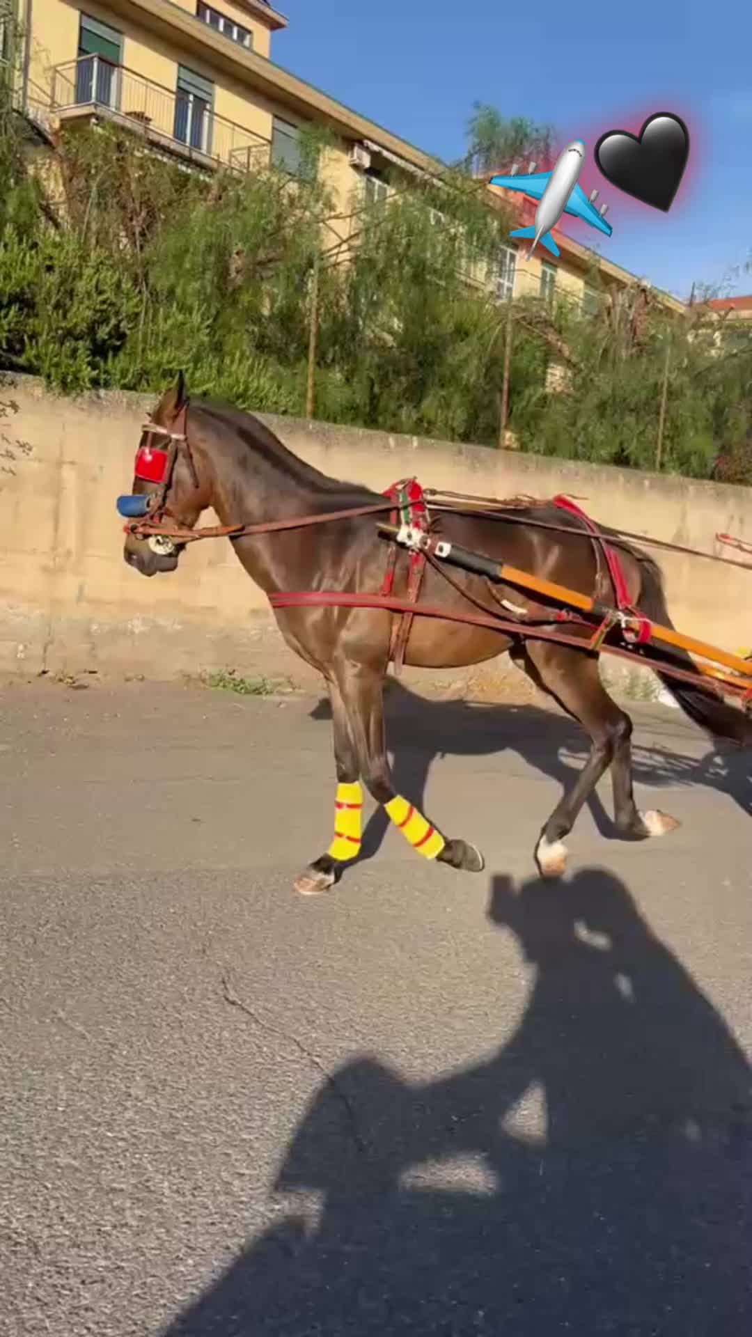 @Agatino Diolosà