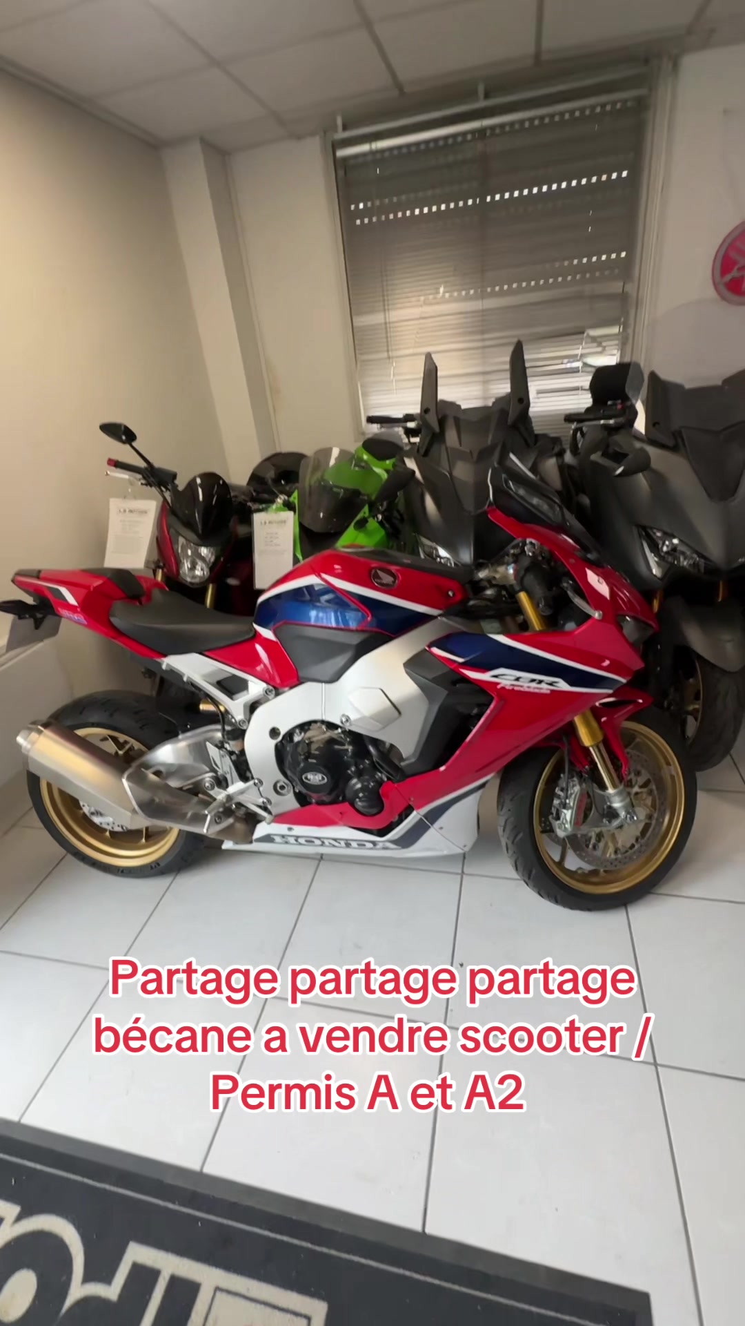 @Lbmotorssenart