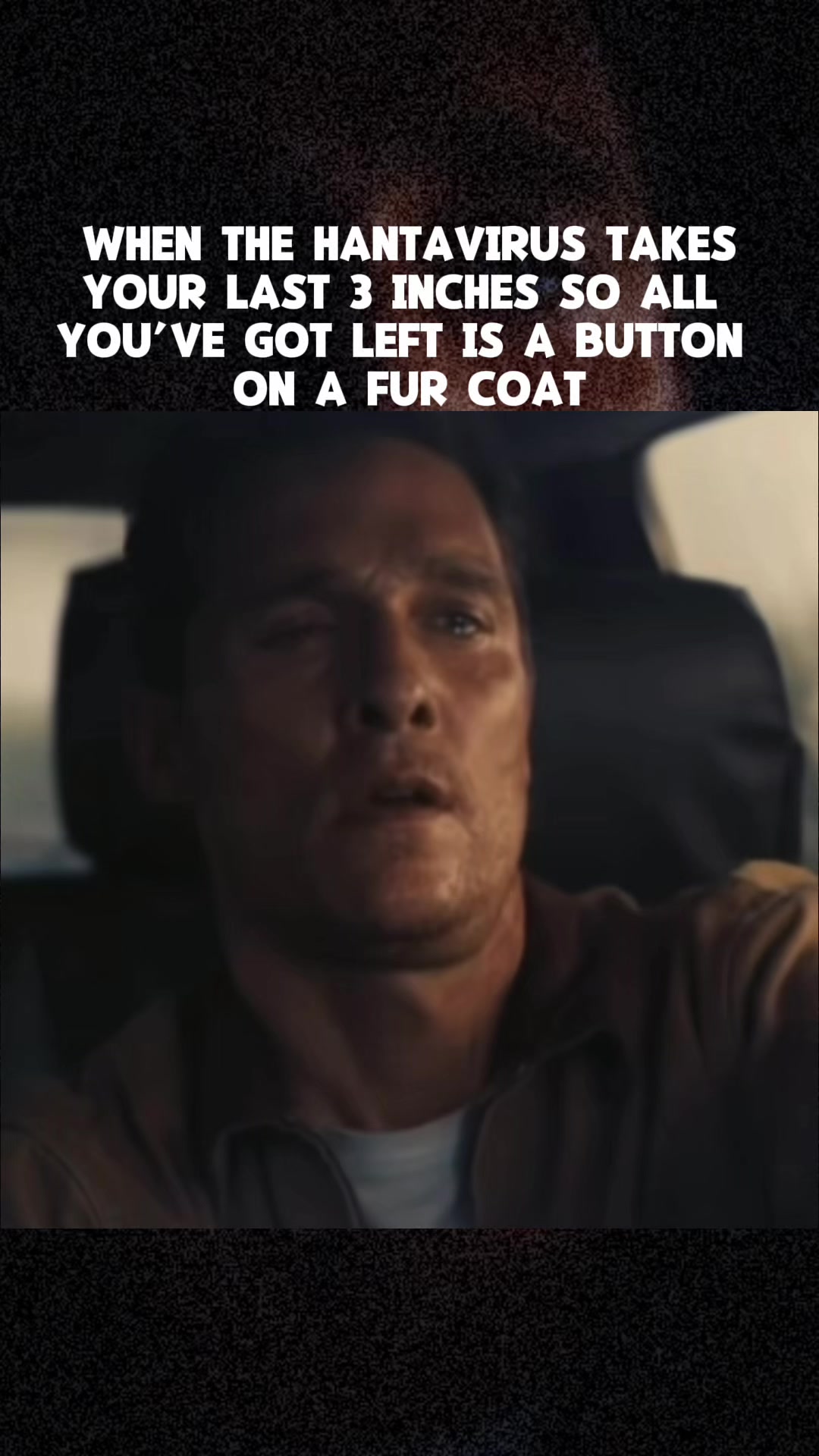 @No Dogs in the Race
