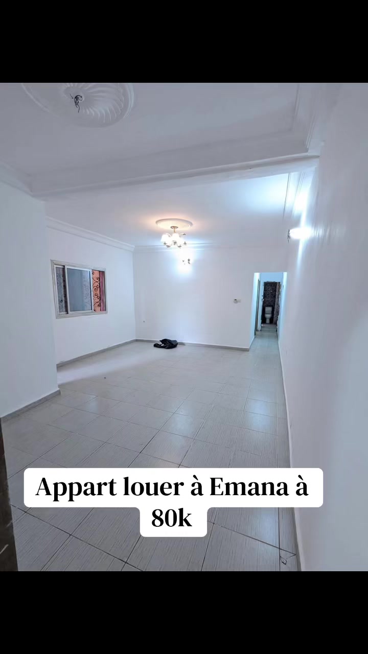 @DINO~IMMO~237🇨🇲🇨🇲
