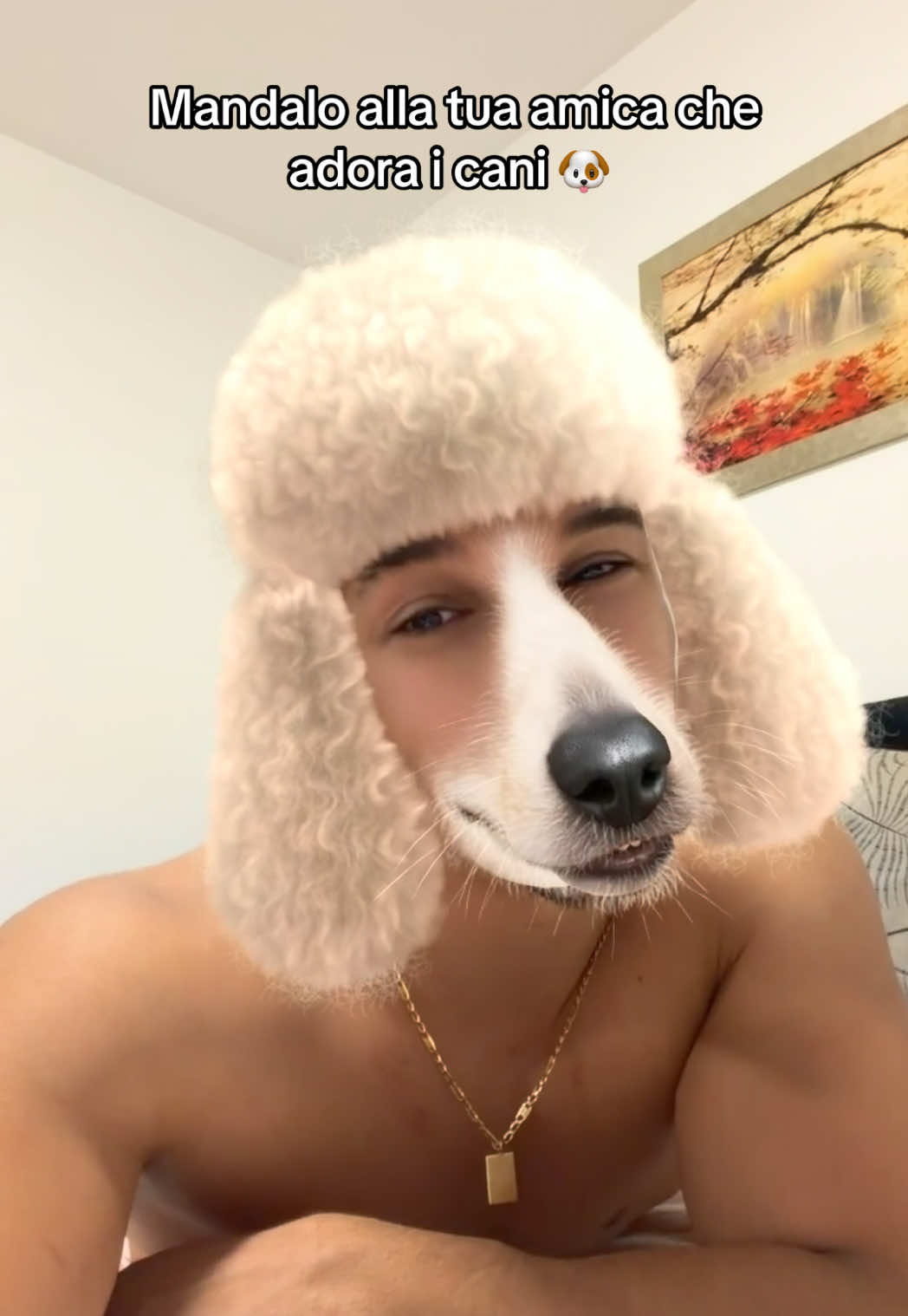 @kurti_alessandro