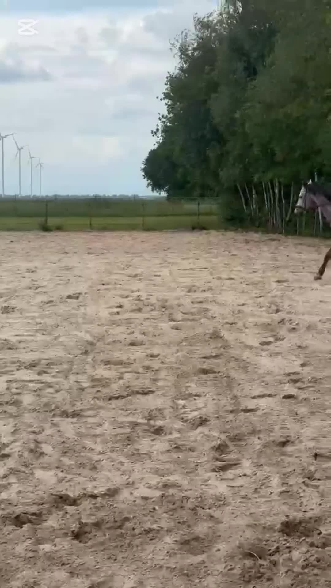 @xkelseyy.Dx