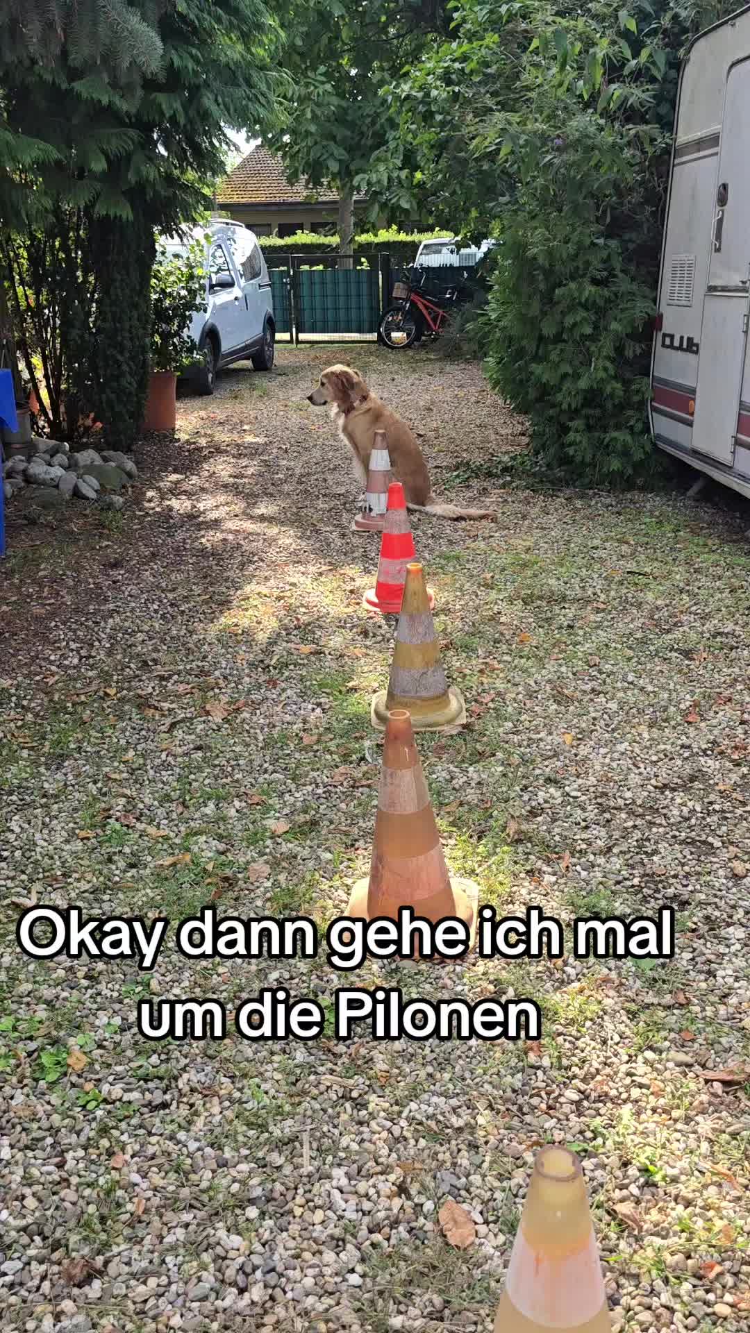 @Fellnasen WG