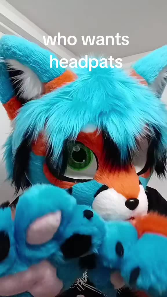 @dingbat 🐾 mew,mew 🐾 🔜 AC26