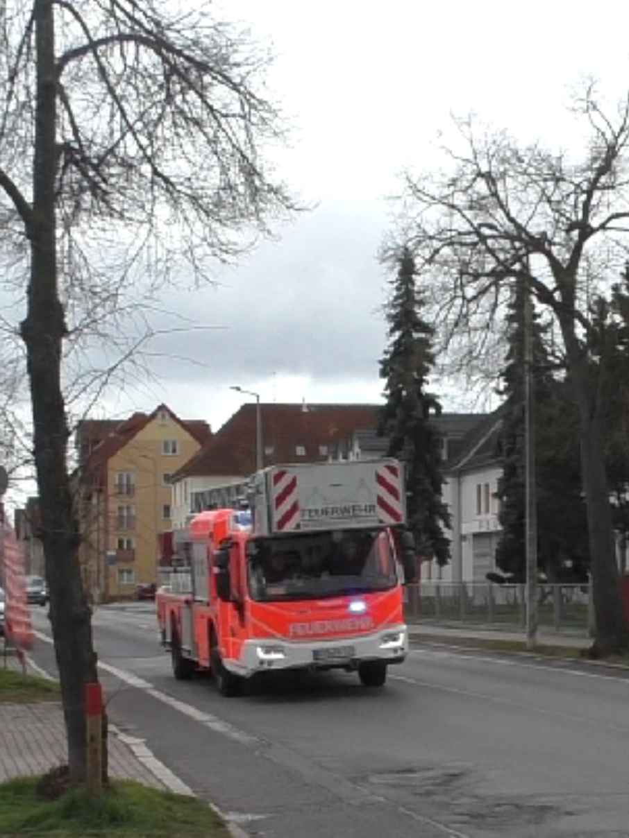 @Bluelights_söm