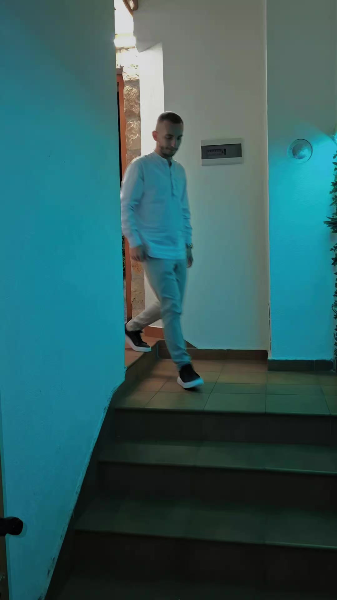 @Mehmed