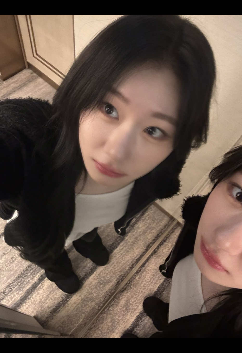@ινу 🐰