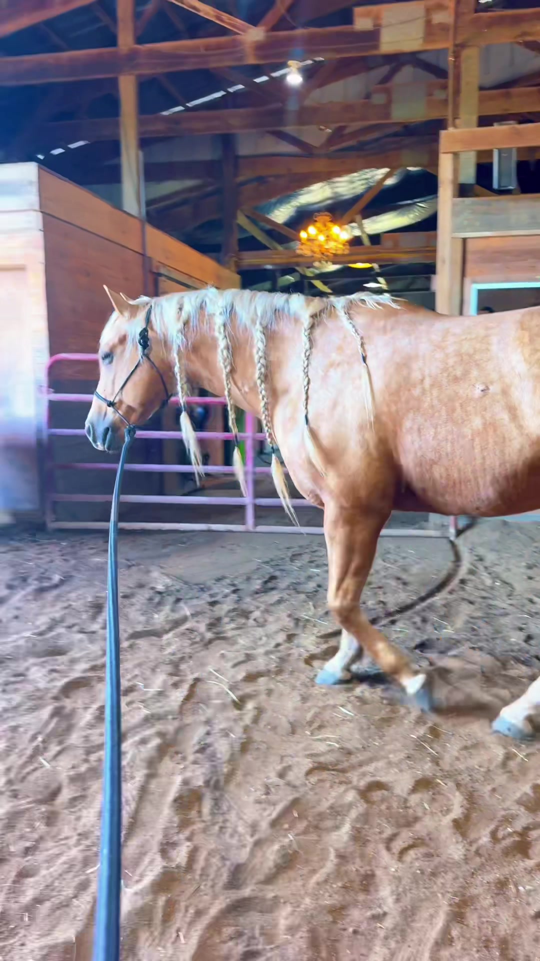 @Free Spirit Equestrian