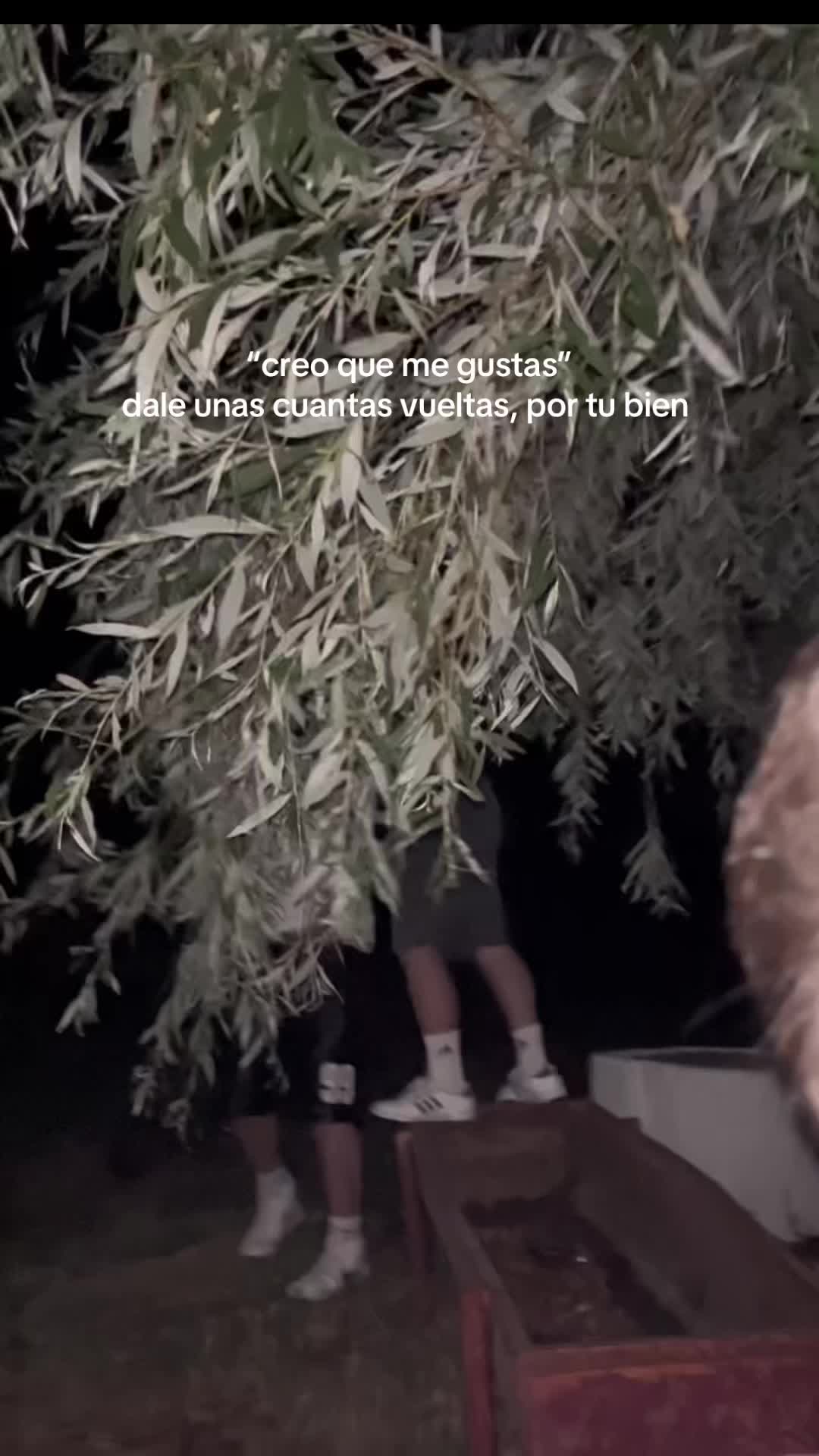 @Amalia🤍