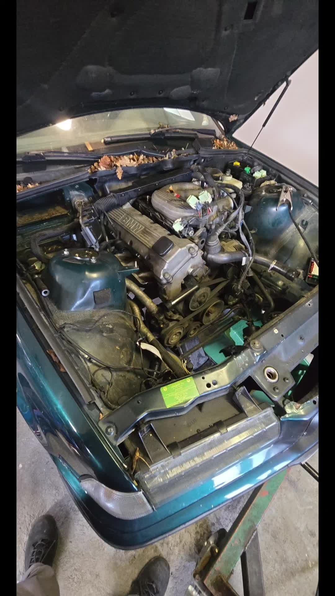 @Dario_e36