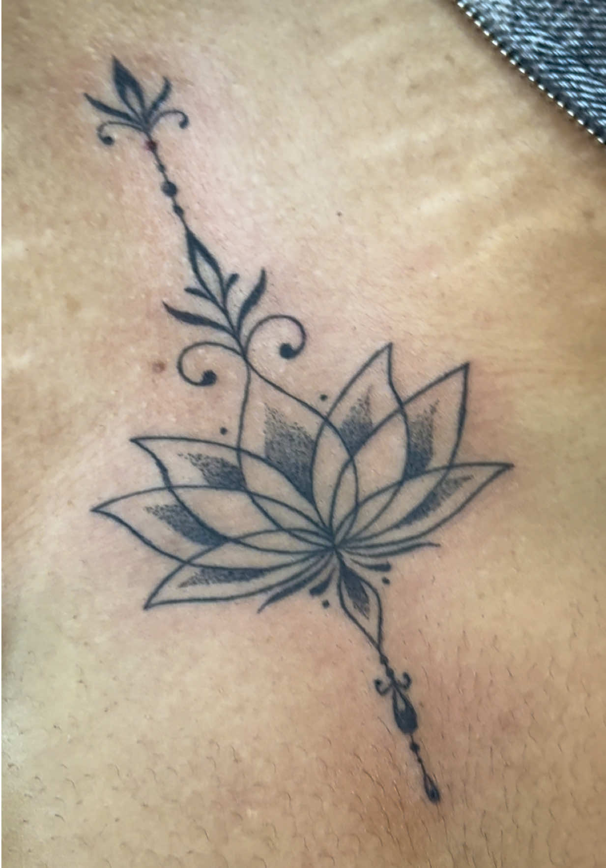 @tattooaer