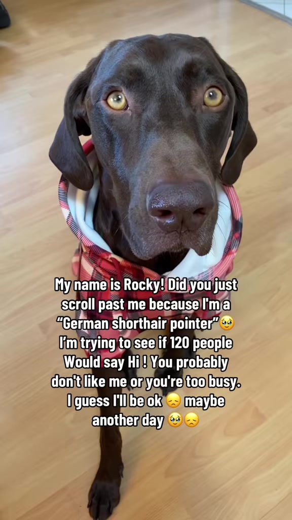 @Rocky_and_mom 🐾❤️🐶