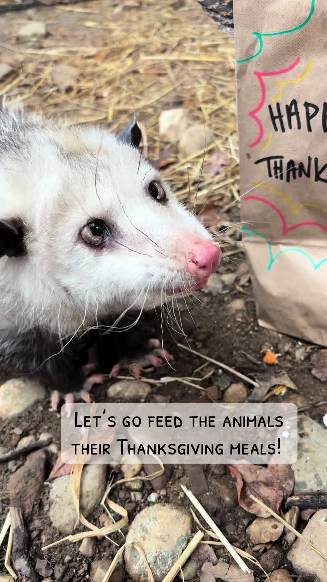 @HowellNatureCenter