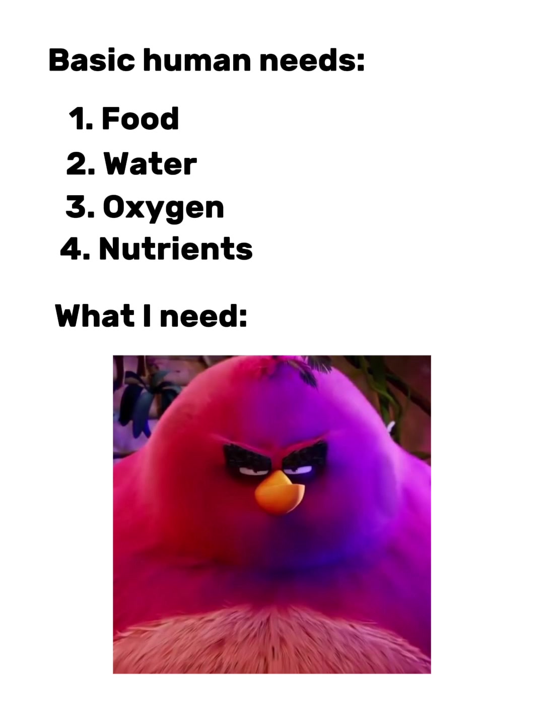 @Angry Birds