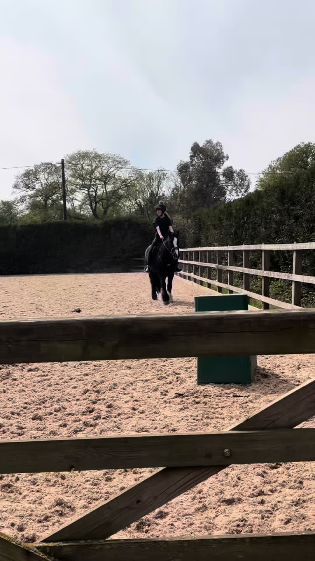 @Soph 🤍🐴
