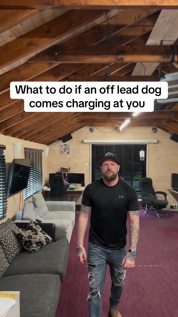 @SouthendDogTraining